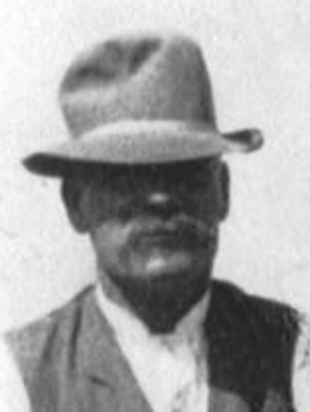 James Ephriam Toombs (1850 - 1943) Profile